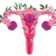 pms